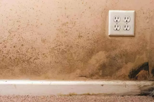 common-household-places-mold-prevention-tips