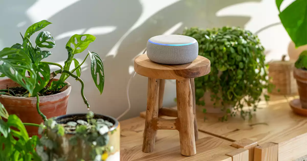 Alexa 3rd party skills to improve your indoor air
