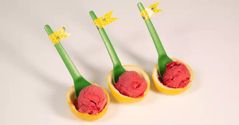 raspberry-lemon-sorbet-bowls-summer-dessert