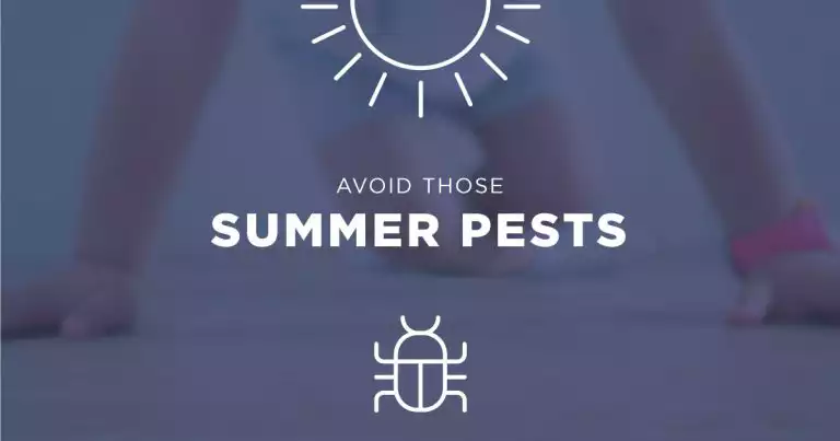 summer pests that thrive in moisture