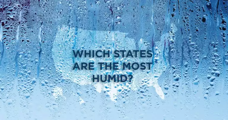 Low store humidity states