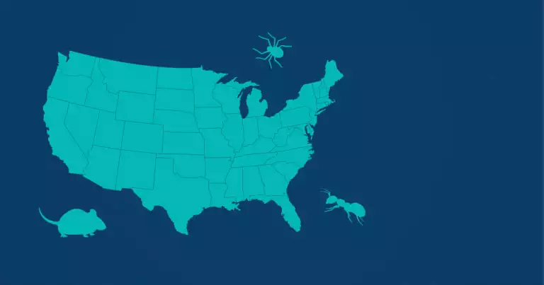 typical pests per region in the united states