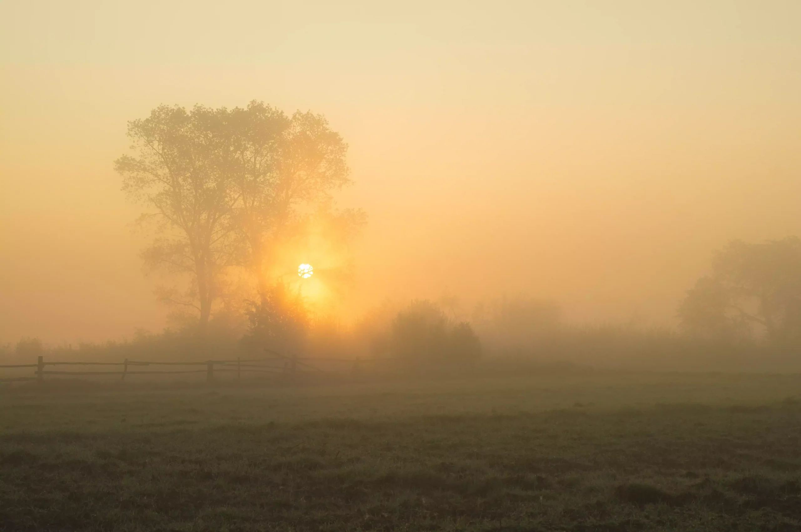 What Is Haze? Why Hazy Weather Can Lead to Dangerous Air Quality Alerts